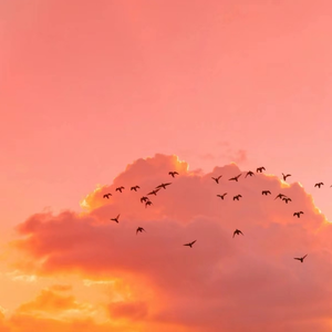 禁漫🍆🍑🔞❌❌❌动漫精灵视频
